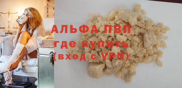 ПСИЛОЦИБИНОВЫЕ ГРИБЫ Богданович