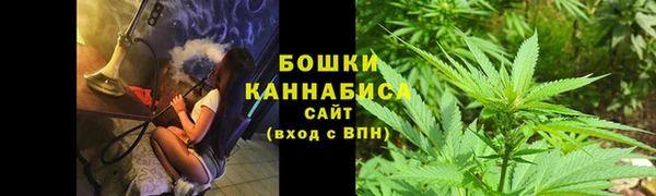 PSILOCYBIN Кукмор
