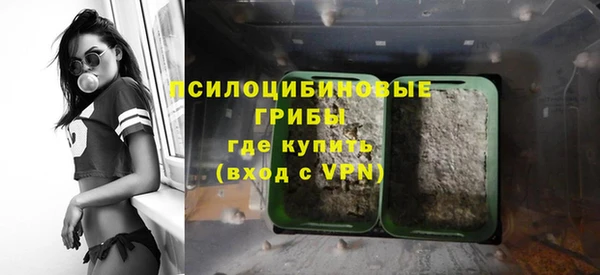 спайс Богородицк