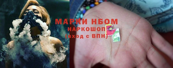 ПСИЛОЦИБИНОВЫЕ ГРИБЫ Богданович