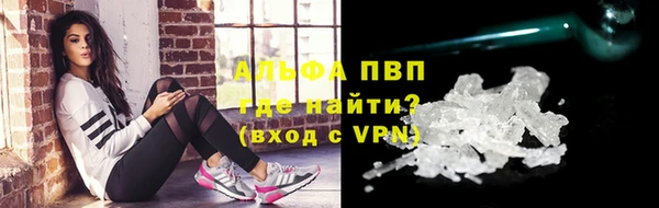 ПСИЛОЦИБИНОВЫЕ ГРИБЫ Богданович