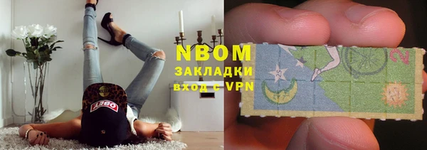 ПСИЛОЦИБИНОВЫЕ ГРИБЫ Богданович