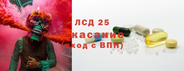 ПСИЛОЦИБИНОВЫЕ ГРИБЫ Богданович