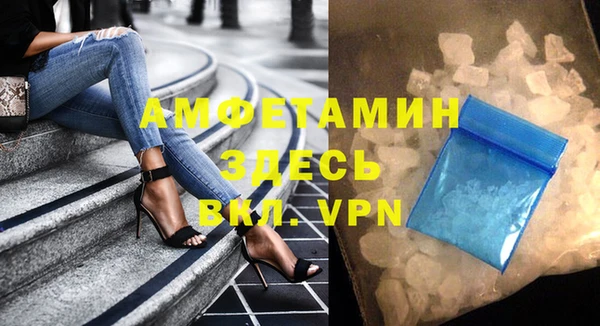 ПСИЛОЦИБИНОВЫЕ ГРИБЫ Богданович