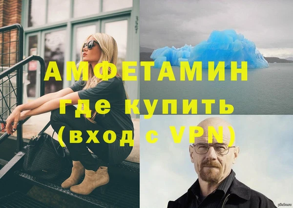 ПСИЛОЦИБИНОВЫЕ ГРИБЫ Богданович